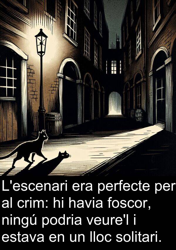 podria: L'escenari era perfecte per al crim: hi havia foscor, ningú podria veure'l i estava en un lloc solitari.