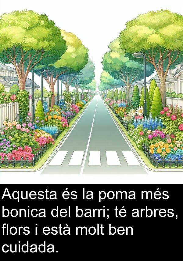bonica: Aquesta és la poma més bonica del barri; té arbres, flors i està molt ben cuidada.