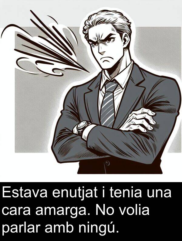 tenia: Estava enutjat i tenia una cara amarga. No volia parlar amb ningú.