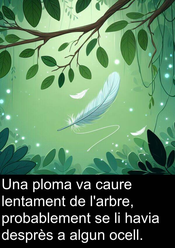 caure: Una ploma va caure lentament de l'arbre, probablement se li havia desprès a algun ocell.