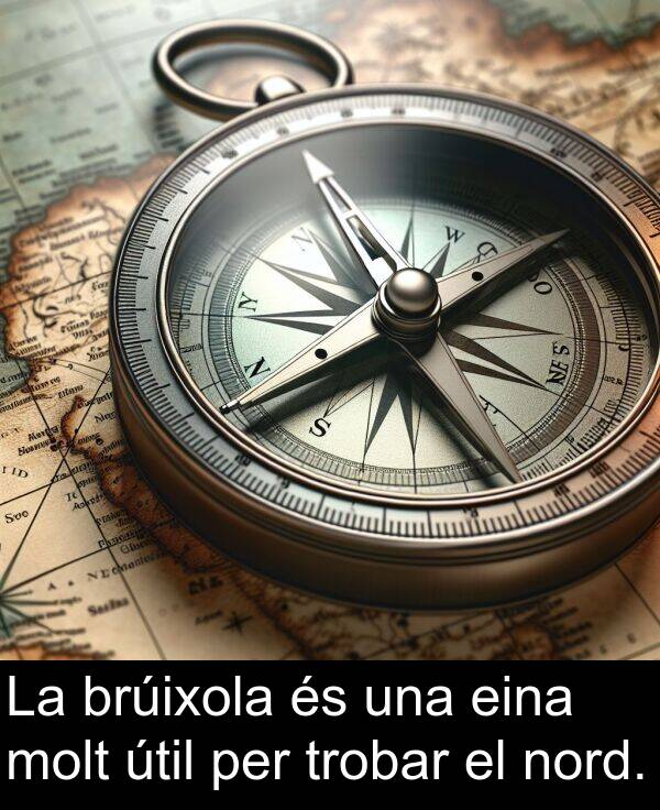 nord: La brúixola és una eina molt útil per trobar el nord.