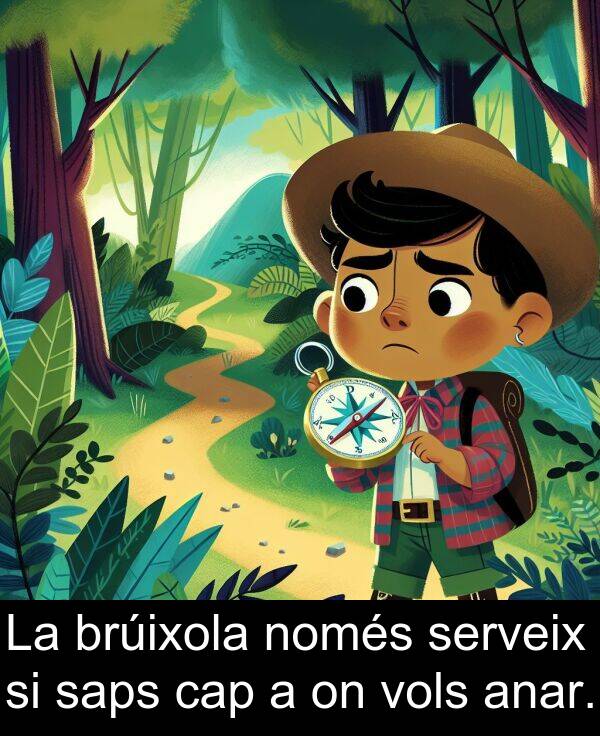 anar: La brúixola només serveix si saps cap a on vols anar.
