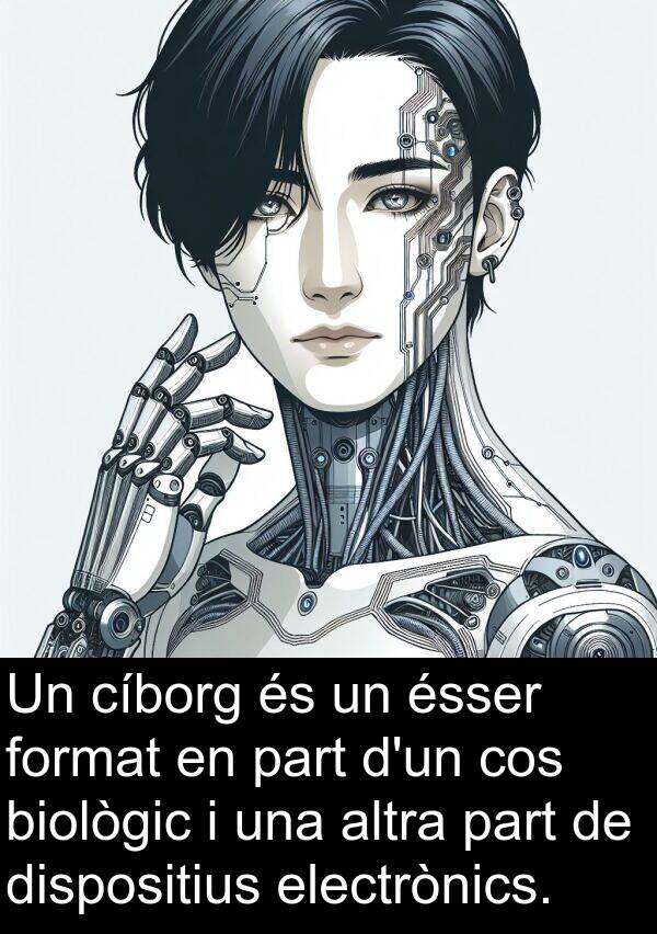 format: Un cíborg és un ésser format en part d'un cos biològic i una altra part de dispositius electrònics.