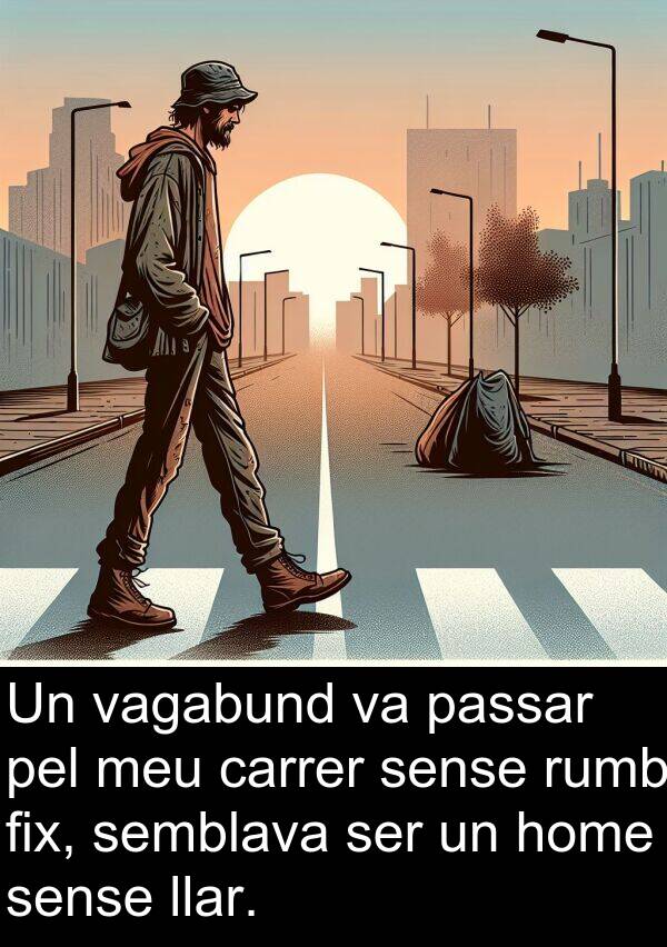 carrer: Un vagabund va passar pel meu carrer sense rumb fix, semblava ser un home sense llar.