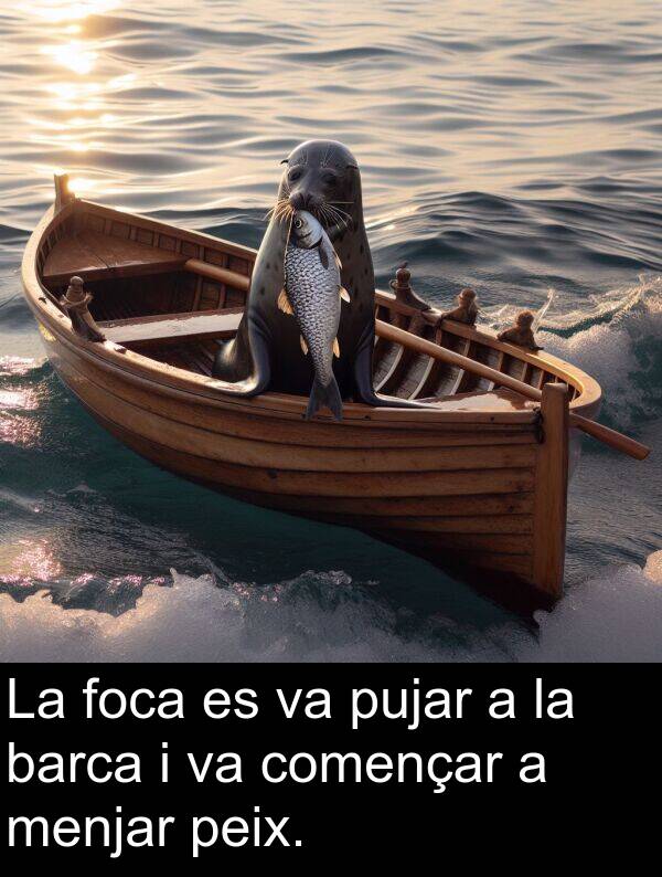 començar: La foca es va pujar a la barca i va començar a menjar peix.