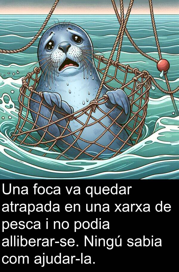 podia: Una foca va quedar atrapada en una xarxa de pesca i no podia alliberar-se. Ningú sabia com ajudar-la.