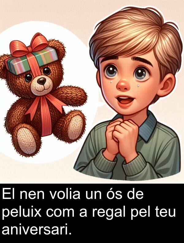 peluix: El nen volia un ós de peluix com a regal pel teu aniversari.
