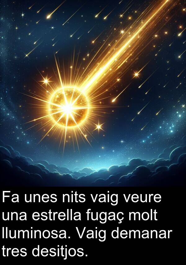 nits: Fa unes nits vaig veure una estrella fugaç molt lluminosa. Vaig demanar tres desitjos.