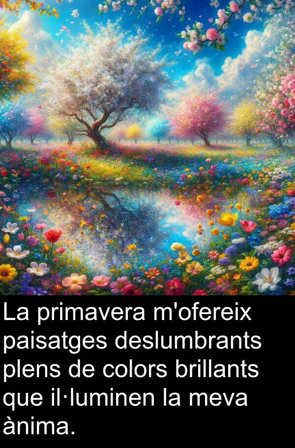 paisatges: La primavera m'ofereix paisatges deslumbrants plens de colors brillants que il·luminen la meva ànima.