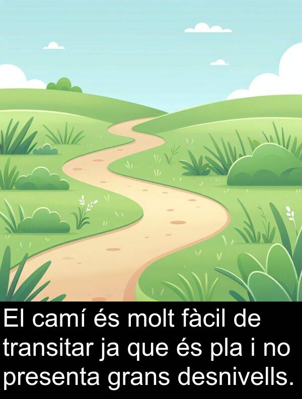 camí: El camí és molt fàcil de transitar ja que és pla i no presenta grans desnivells.