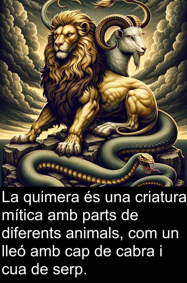 lleó: La quimera és una criatura mítica amb parts de diferents animals, com un lleó amb cap de cabra i cua de serp.