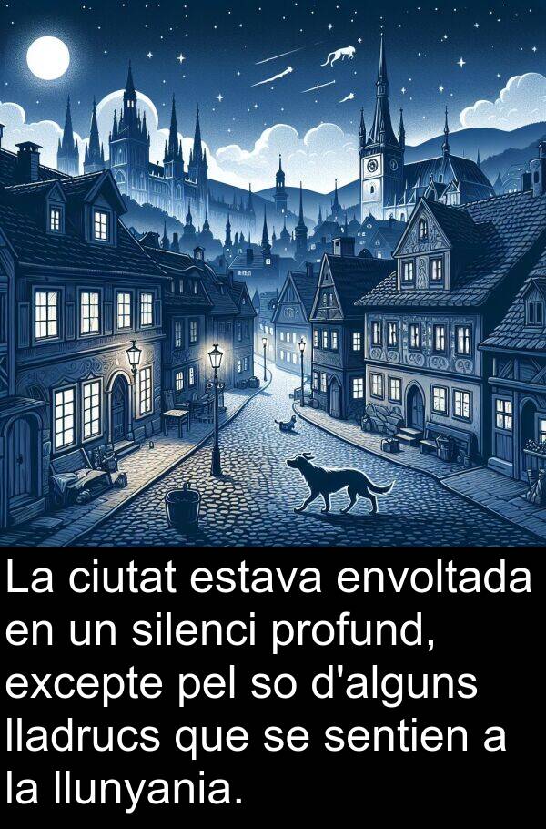 sentien: La ciutat estava envoltada en un silenci profund, excepte pel so d'alguns lladrucs que se sentien a la llunyania.