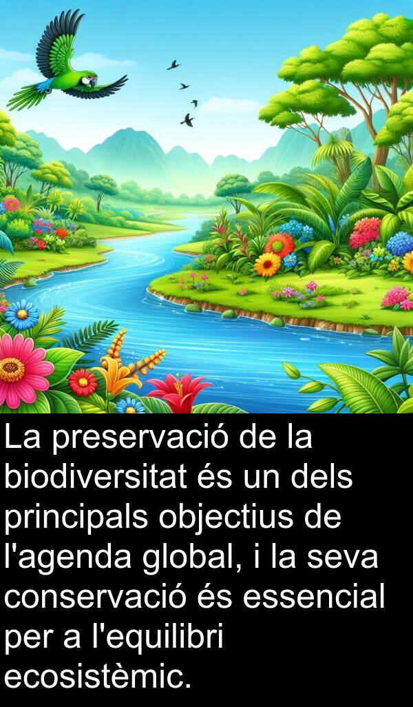 ecosistèmic: La preservació de la biodiversitat és un dels principals objectius de l'agenda global, i la seva conservació és essencial per a l'equilibri ecosistèmic.