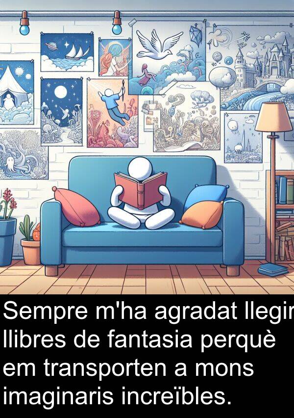 llibres: Sempre m'ha agradat llegir llibres de fantasia perquè em transporten a mons imaginaris increïbles.