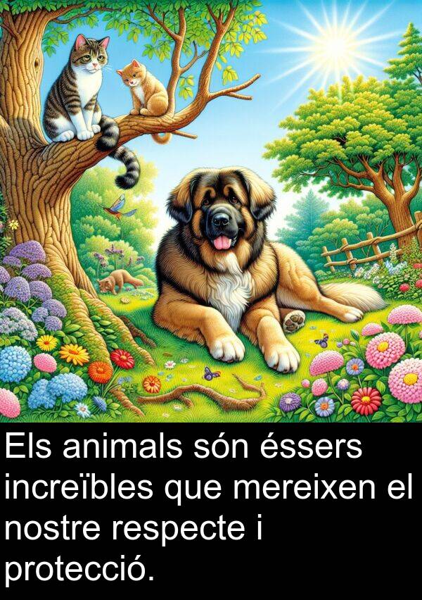 nostre: Els animals són éssers increïbles que mereixen el nostre respecte i protecció.