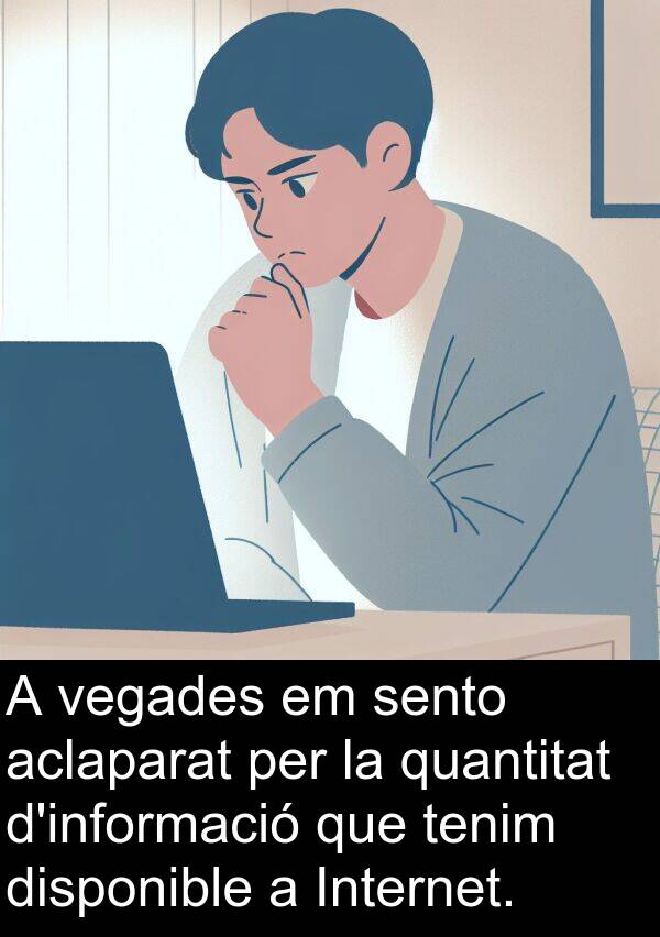 tenim: A vegades em sento aclaparat per la quantitat d'informació que tenim disponible a Internet.