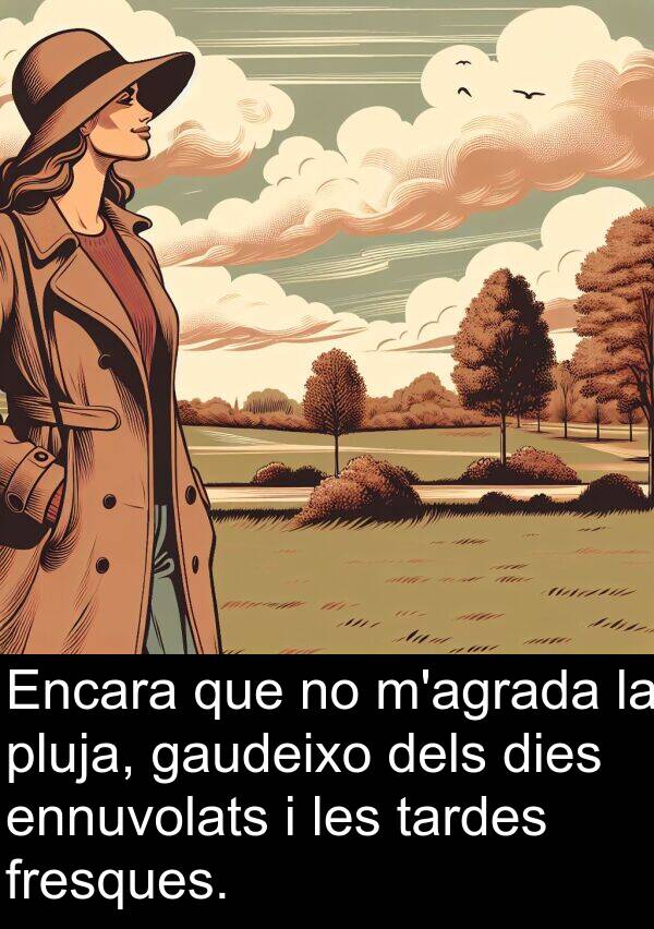 fresques: Encara que no m'agrada la pluja, gaudeixo dels dies ennuvolats i les tardes fresques.