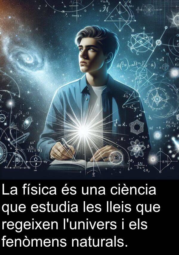 física: La física és una ciència que estudia les lleis que regeixen l'univers i els fenòmens naturals.