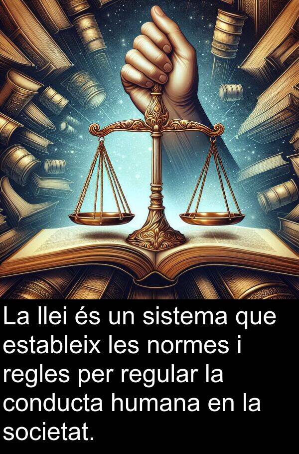estableix: La llei és un sistema que estableix les normes i regles per regular la conducta humana en la societat.