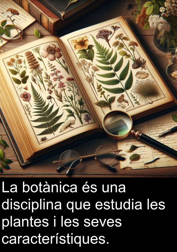 disciplina: La botànica és una disciplina que estudia les plantes i les seves característiques.