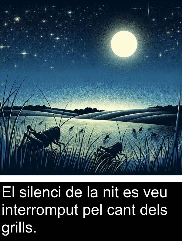 cant: El silenci de la nit es veu interromput pel cant dels grills.