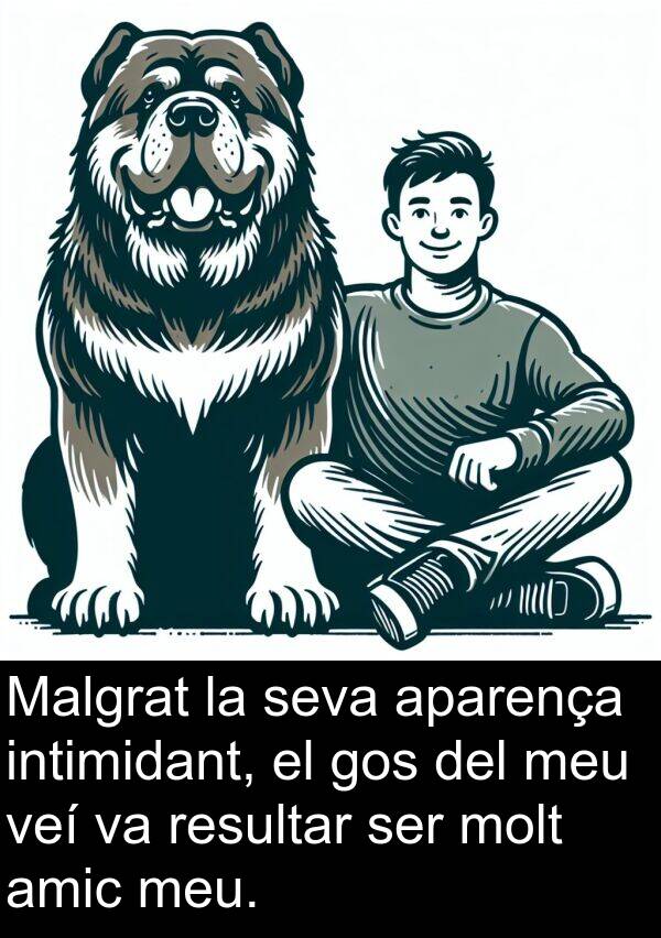 amic: Malgrat la seva aparença intimidant, el gos del meu veí va resultar ser molt amic meu.