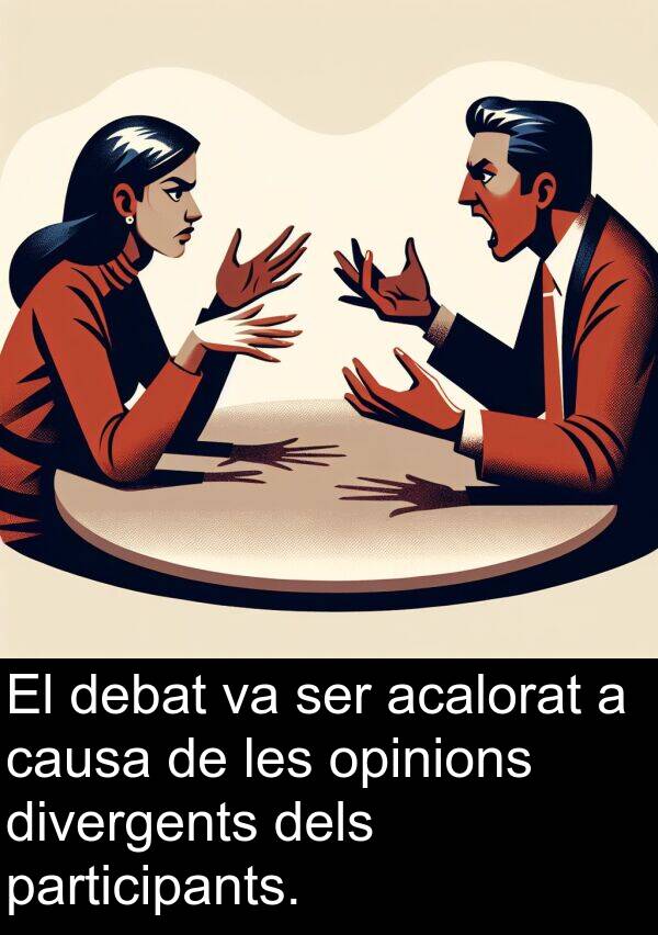 causa: El debat va ser acalorat a causa de les opinions divergents dels participants.