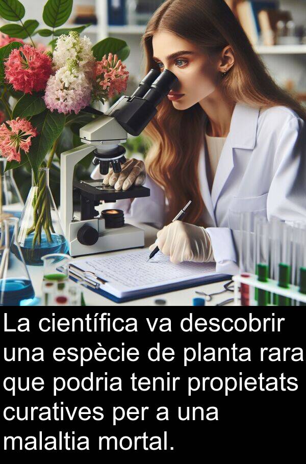 malaltia: La científica va descobrir una espècie de planta rara que podria tenir propietats curatives per a una malaltia mortal.