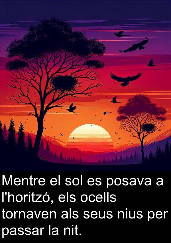 nius: Mentre el sol es posava a l'horitzó, els ocells tornaven als seus nius per passar la nit.