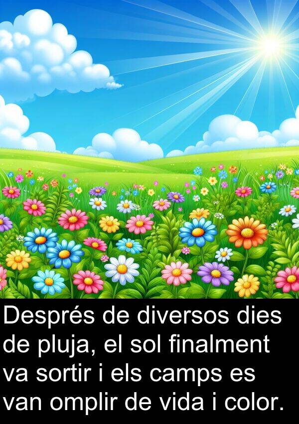 diversos: Després de diversos dies de pluja, el sol finalment va sortir i els camps es van omplir de vida i color.