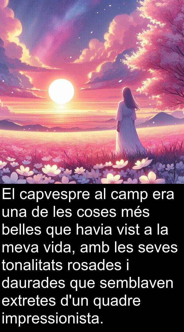 coses: El capvespre al camp era una de les coses més belles que havia vist a la meva vida, amb les seves tonalitats rosades i daurades que semblaven extretes d'un quadre impressionista.