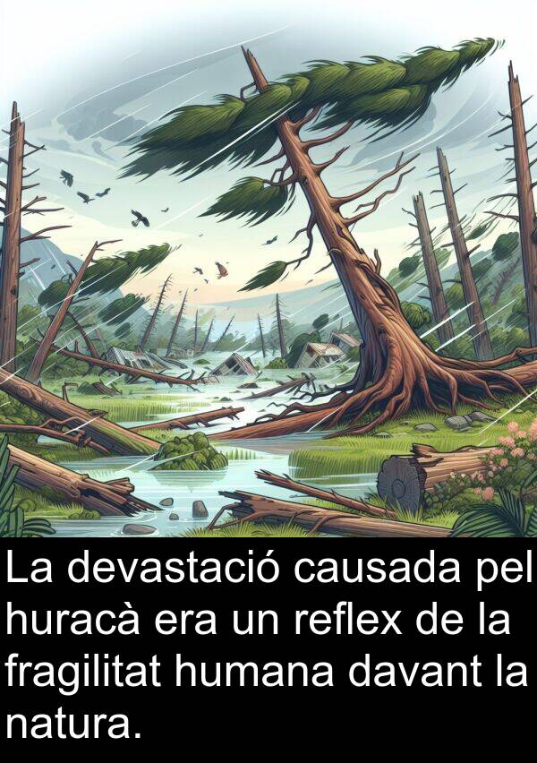 natura: La devastació causada pel huracà era un reflex de la fragilitat humana davant la natura.