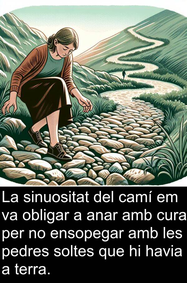 camí: La sinuositat del camí em va obligar a anar amb cura per no ensopegar amb les pedres soltes que hi havia a terra.