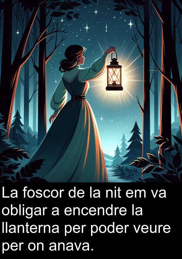 poder: La foscor de la nit em va obligar a encendre la llanterna per poder veure per on anava.