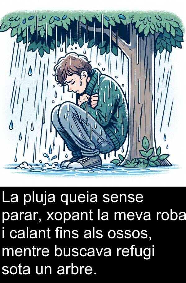 calant: La pluja queia sense parar, xopant la meva roba i calant fins als ossos, mentre buscava refugi sota un arbre.