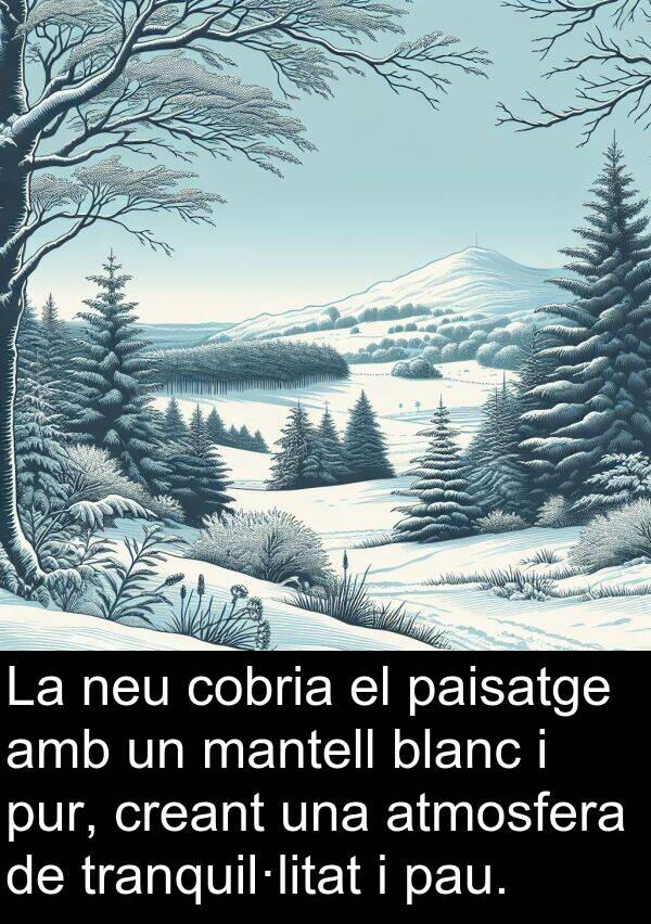 pau: La neu cobria el paisatge amb un mantell blanc i pur, creant una atmosfera de tranquil·litat i pau.
