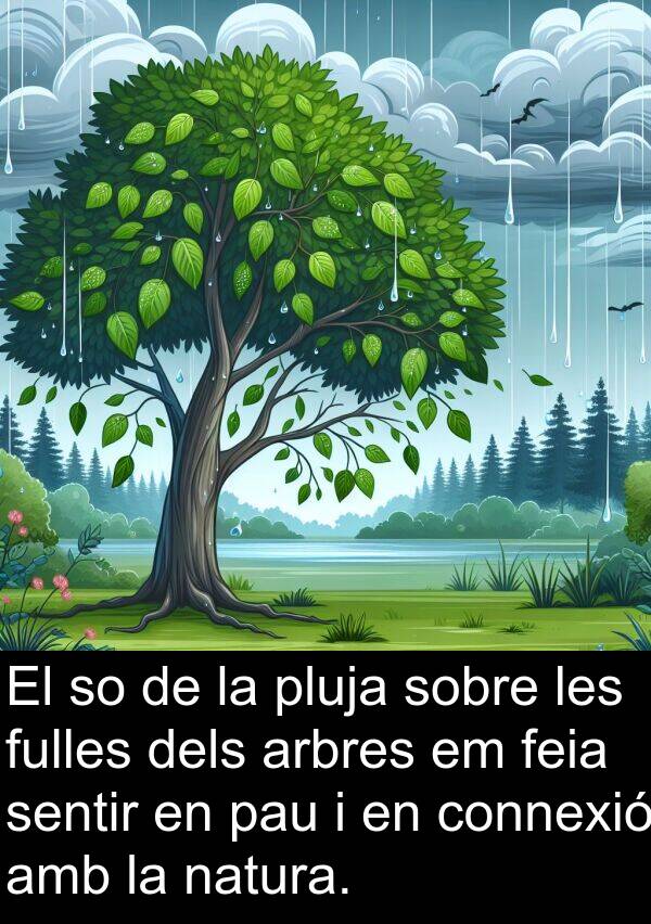 pau: El so de la pluja sobre les fulles dels arbres em feia sentir en pau i en connexió amb la natura.