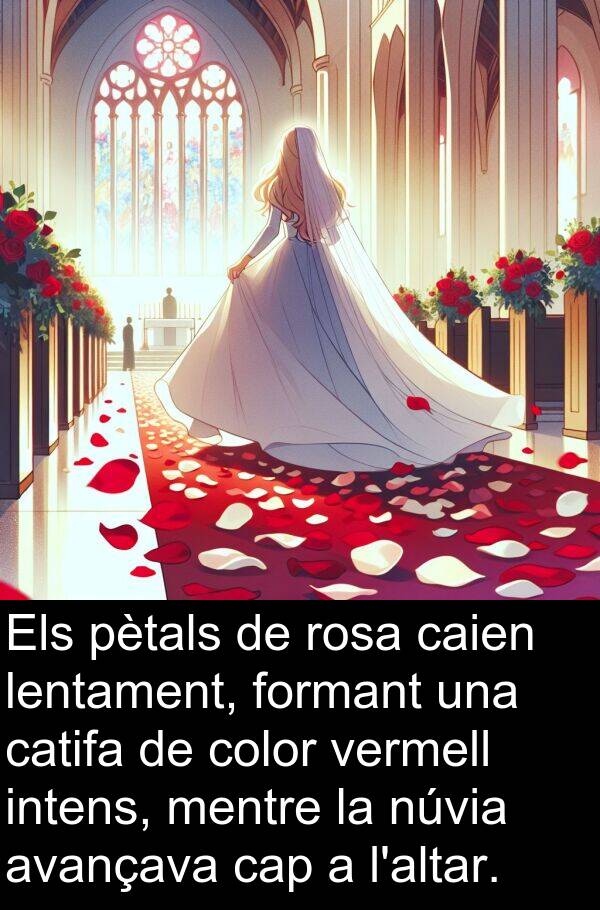intens: Els pètals de rosa caien lentament, formant una catifa de color vermell intens, mentre la núvia avançava cap a l'altar.