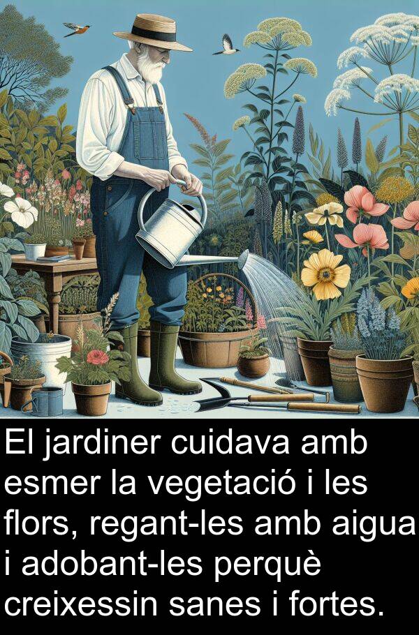 jardiner: El jardiner cuidava amb esmer la vegetació i les flors, regant-les amb aigua i adobant-les perquè creixessin sanes i fortes.