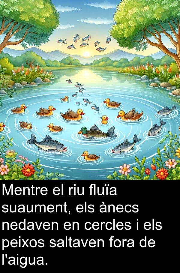nedaven: Mentre el riu fluïa suaument, els ànecs nedaven en cercles i els peixos saltaven fora de l'aigua.