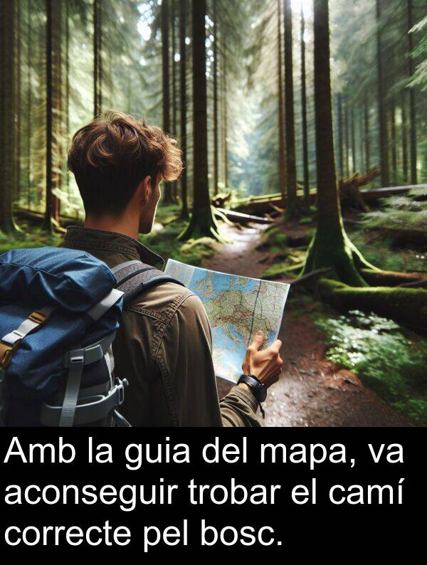 camí: Amb la guia del mapa, va aconseguir trobar el camí correcte pel bosc.