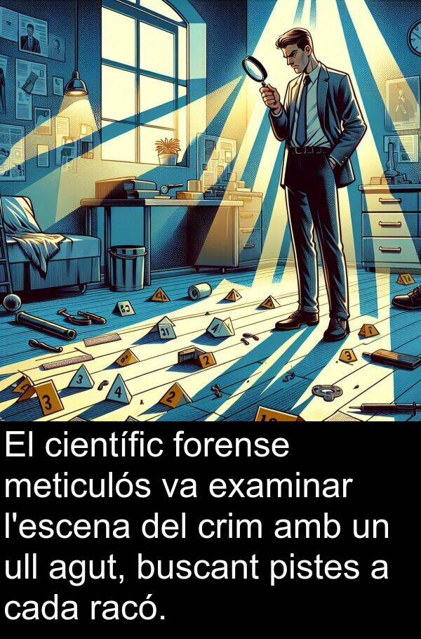 ull: El científic forense meticulós va examinar l'escena del crim amb un ull agut, buscant pistes a cada racó.