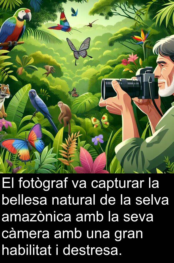 càmera: El fotògraf va capturar la bellesa natural de la selva amazònica amb la seva càmera amb una gran habilitat i destresa.