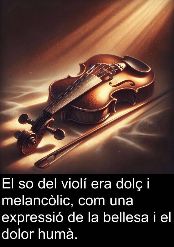 humà: El so del violí era dolç i melancòlic, com una expressió de la bellesa i el dolor humà.