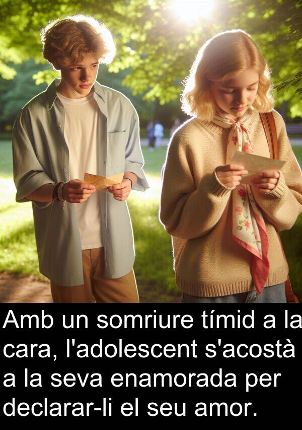 amor: Amb un somriure tímid a la cara, l'adolescent s'acostà a la seva enamorada per declarar-li el seu amor.