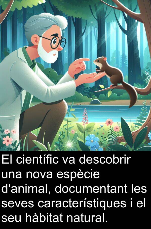 descobrir: El científic va descobrir una nova espècie d'animal, documentant les seves característiques i el seu hàbitat natural.