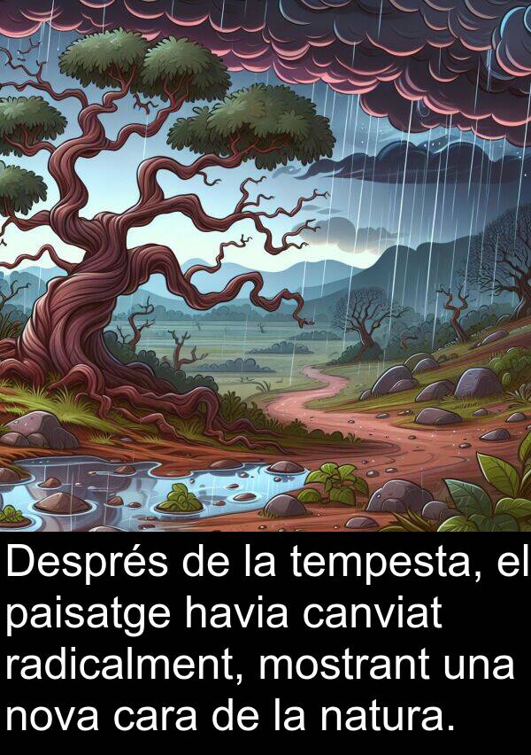 tempesta: Després de la tempesta, el paisatge havia canviat radicalment, mostrant una nova cara de la natura.