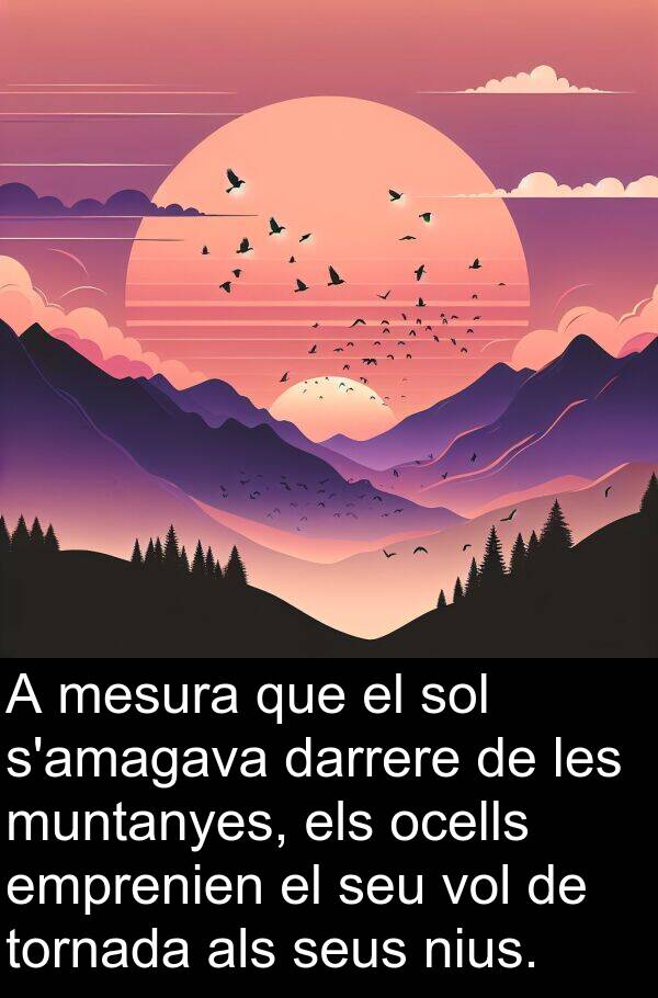 mesura: A mesura que el sol s'amagava darrere de les muntanyes, els ocells emprenien el seu vol de tornada als seus nius.