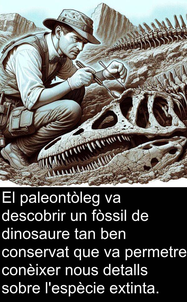 descobrir: El paleontòleg va descobrir un fòssil de dinosaure tan ben conservat que va permetre conèixer nous detalls sobre l'espècie extinta.