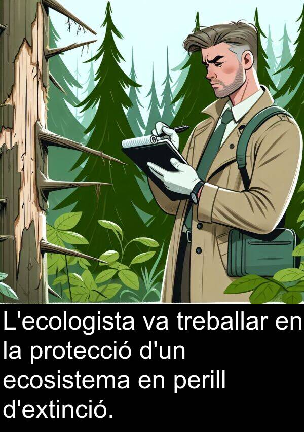 treballar: L'ecologista va treballar en la protecció d'un ecosistema en perill d'extinció.